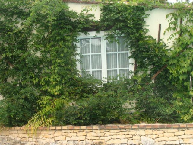Le Guinguetton Chambre D'Hotes Prigonrieux Dış mekan fotoğraf
